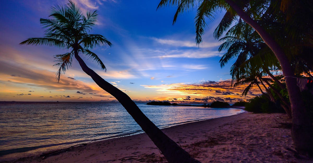 découvrez un havre de paix et de beauté avec notre guide sur le paradis. explorez des paysages époustouflants, des plages de sable blanc et des expériences inoubliables qui vous transporteront vers un monde de sérénité et d'émerveillement.