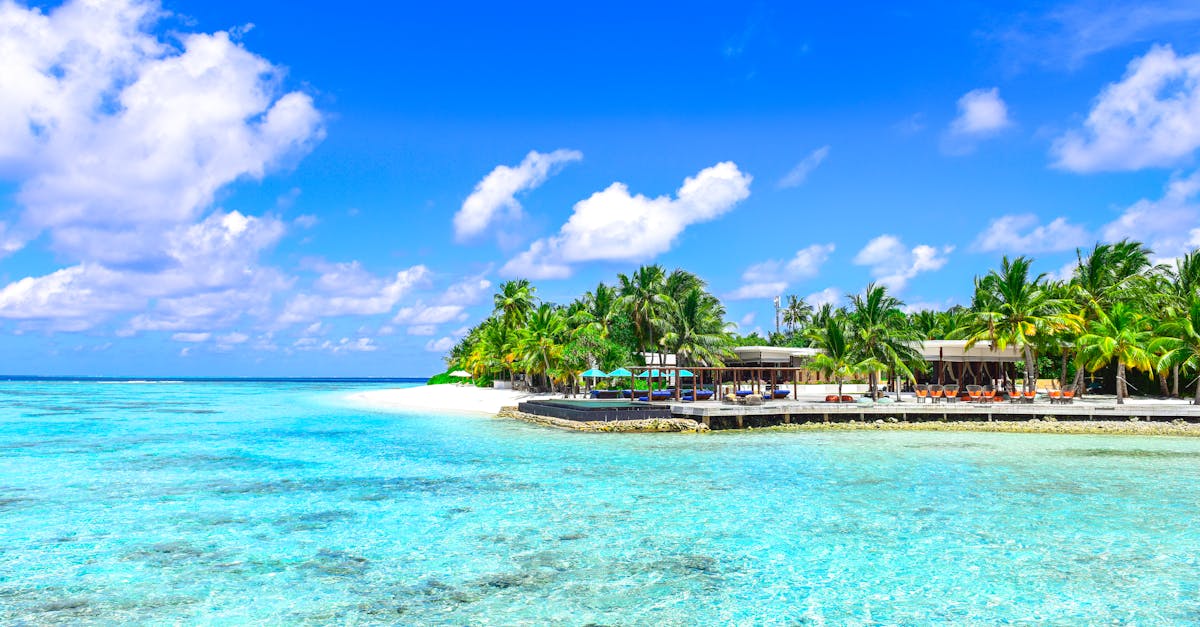 découvrez paradise, un lieu idyllique où la beauté naturelle rencontre le confort moderne. profitez de paysages à couper le souffle, d'activités exaltantes et d'une ambiance relaxante pour des vacances inoubliables.