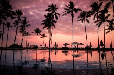 découvrez un monde de sérénité et de beauté éclatante avec 'paradise'. explorez des paysages époustouflants, une biodiversité riche et une ambiance apaisante qui vous transportera vers une expérience inoubliable. évadez-vous dans ce havre de paix.