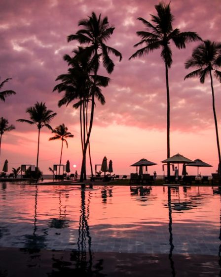 découvrez un monde de sérénité et de beauté éclatante avec 'paradise'. explorez des paysages époustouflants, une biodiversité riche et une ambiance apaisante qui vous transportera vers une expérience inoubliable. évadez-vous dans ce havre de paix.