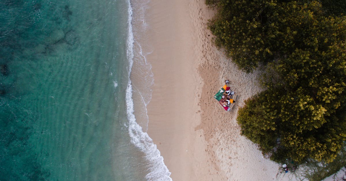 découvrez notre collection de serviettes de plage haut de gamme, idéales pour profiter du soleil et du sable. douces, absorbantes et disponibles dans une variété de designs colorés, nos serviettes vous accompagneront lors de vos journées à la mer. parfaites pour la plage, la piscine ou les pique-niques, elles combinent style et fonctionnalité.