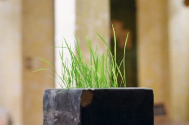 découvrez l'élégance du raffinement naturel avec notre sélection de produits bio et éco-responsables. transformez votre quotidien en adoptant un style de vie sain et durable, tout en préservant la beauté de notre planète.