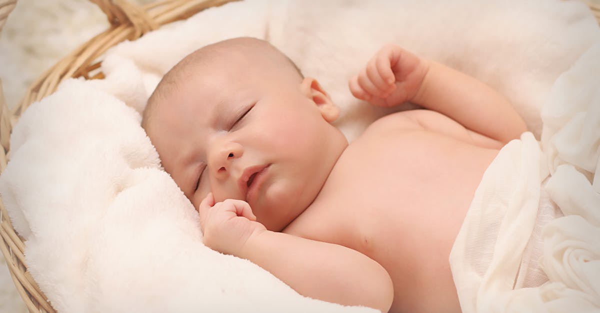 découvrez notre nursery, un espace dédié à l'éveil et au développement des tout-petits. offrant des activités ludo-éducatives dans un environnement sûr et bienveillant, nous accompagnons les enfants dans leurs premières étapes d'apprentissage. rejoignez-nous pour un parcours enrichissant!