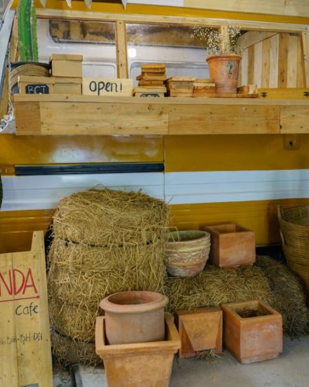 découvrez l'univers de la terracotta, un matériau chaleureux et intemporel. apprenez comment l'intégrer dans votre décoration intérieure et extérieure pour ajouter une touche d'élégance et de rusticité à vos espaces.