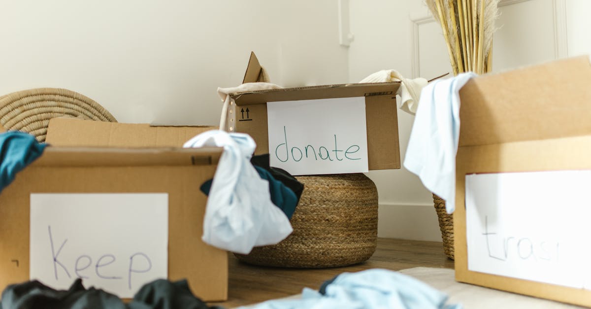 découvrez des conseils et astuces pour adopter un mode de vie durable : consommation responsable, réduction des déchets et respect de l'environnement au quotidien.