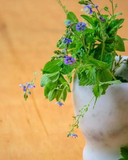 découvrez nos conseils et ressources pour améliorer votre bien-être au quotidien : relaxation, alimentation saine, exercices et astuces pour une vie équilibrée. retrouvez le meilleur du wellness pour prendre soin de votre corps et de votre esprit.