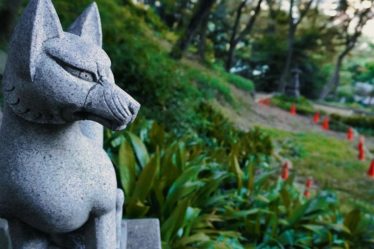 découvrez stone fox lingerie, une marque alliant élégance et confort pour sublimer votre féminité avec des pièces raffinées et sensuelles.