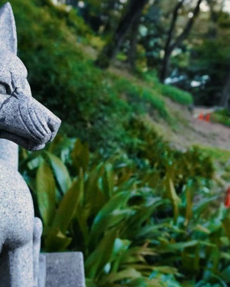 découvrez stone fox lingerie, une marque alliant élégance et confort pour sublimer votre féminité avec des pièces raffinées et sensuelles.