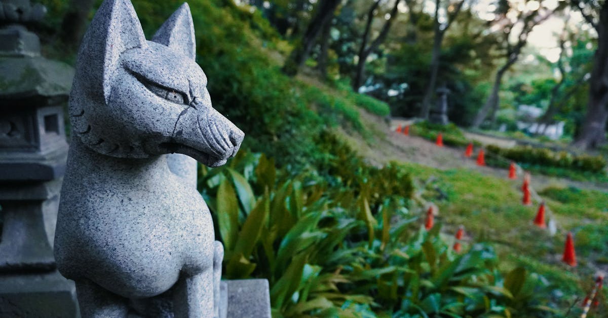 découvrez stone fox lingerie, une marque alliant élégance et confort pour sublimer votre féminité avec des pièces raffinées et sensuelles.