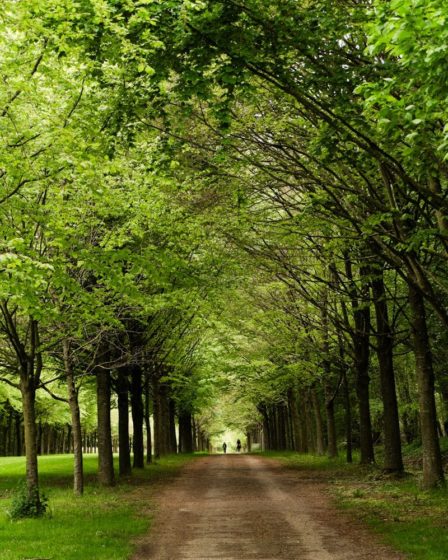 Jardinier Domont