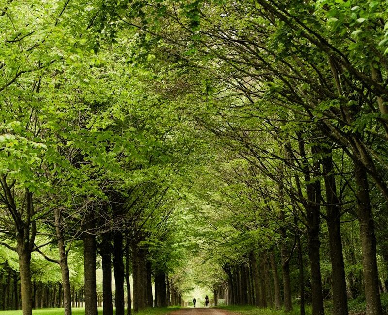 Jardinier Domont