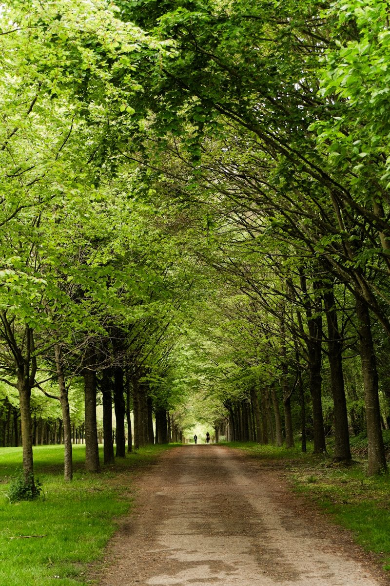 Jardinier Domont